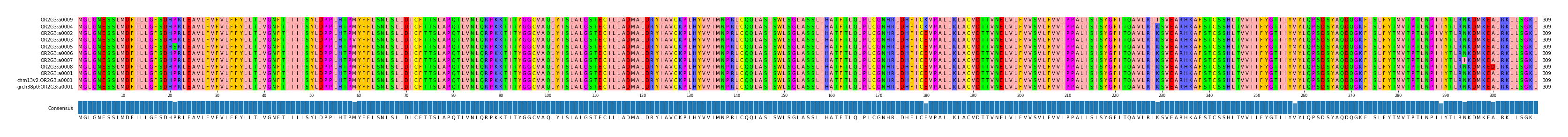 Multiple Alignments (by translate haplotype similarity)
