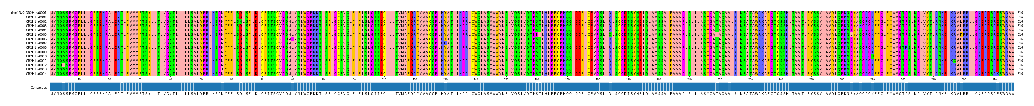 Multiple Alignments (by translate haplotype frequency)