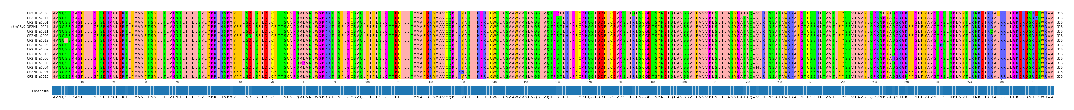 Multiple Alignments (by translate haplotype similarity)