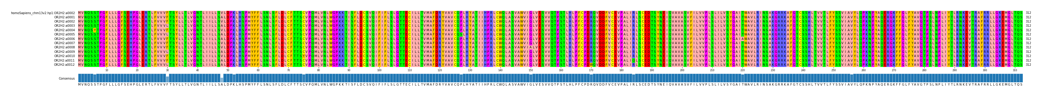Multiple Alignments (by translate haplotype frequency)