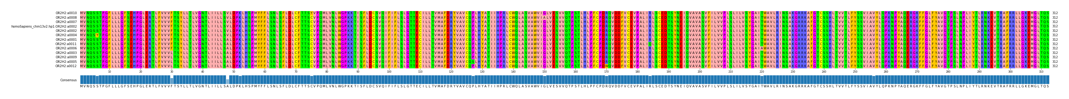 Multiple Alignments (by translate haplotype similarity)