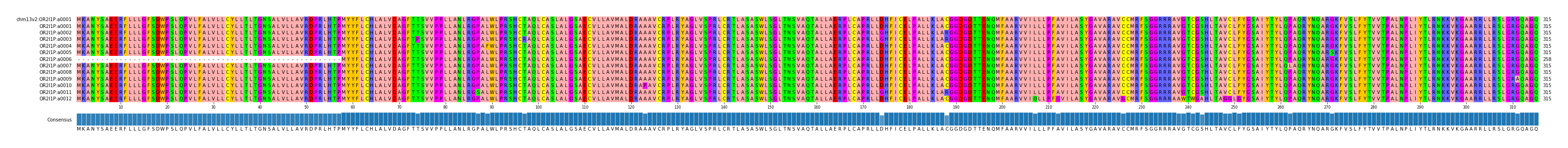 Multiple Alignments (by translate haplotype frequency)