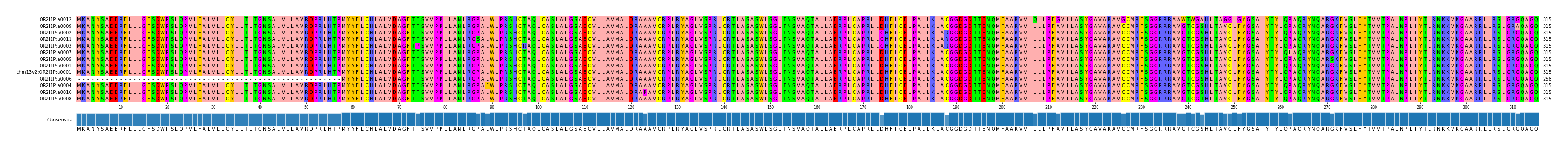 Multiple Alignments (by translate haplotype similarity)