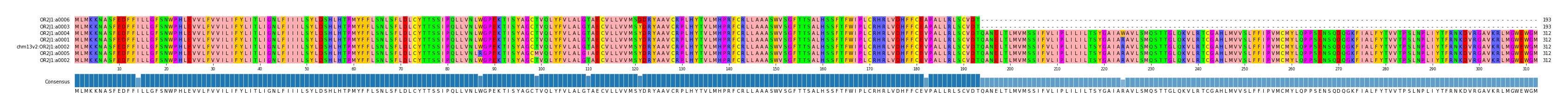 Multiple Alignments (by translate haplotype similarity)