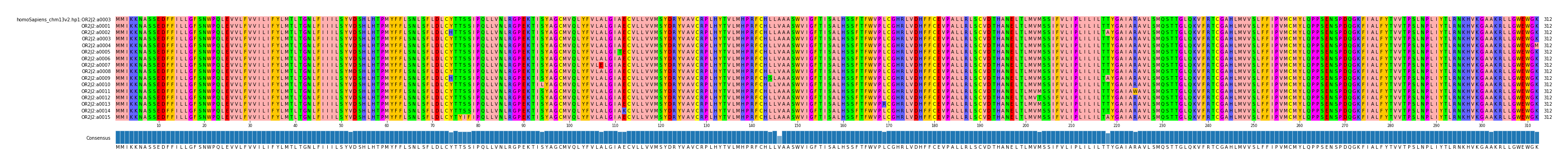 Multiple Alignments (by translate haplotype frequency)