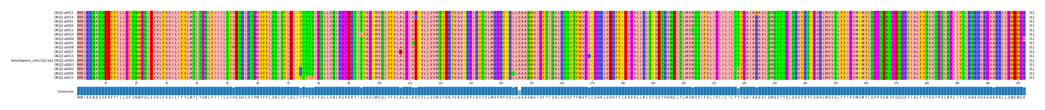 Multiple Alignments (by translate haplotype similarity)