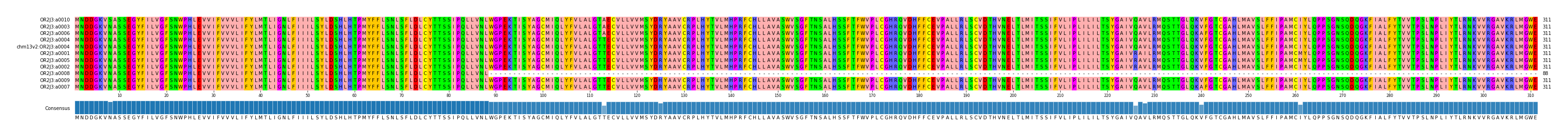 Multiple Alignments (by translate haplotype similarity)