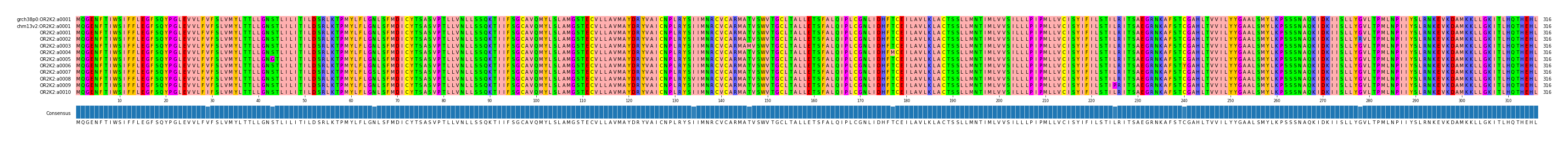 Multiple Alignments (by translate haplotype frequency)