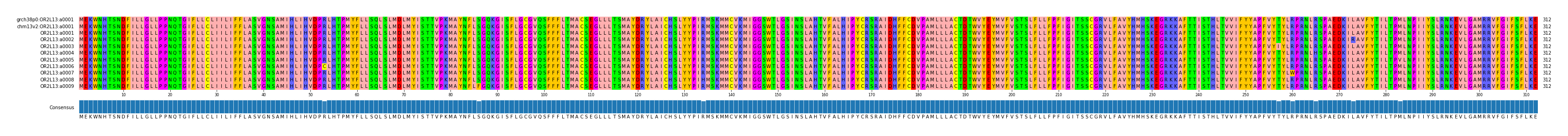Multiple Alignments (by translate haplotype frequency)