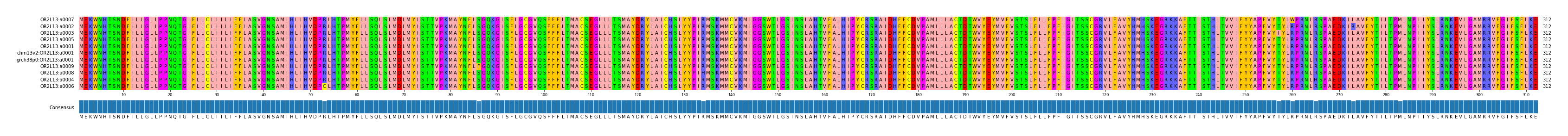 Multiple Alignments (by translate haplotype similarity)