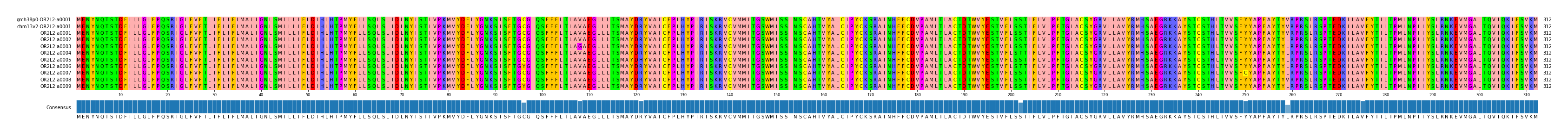 Multiple Alignments (by translate haplotype frequency)