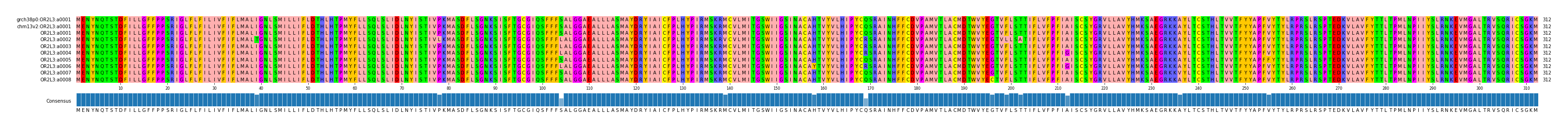 Multiple Alignments (by translate haplotype frequency)