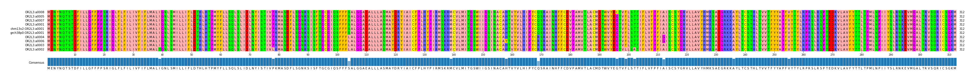 Multiple Alignments (by translate haplotype similarity)