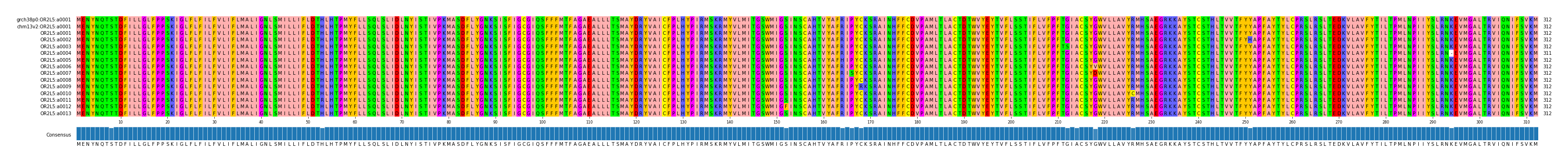 Multiple Alignments (by translate haplotype frequency)