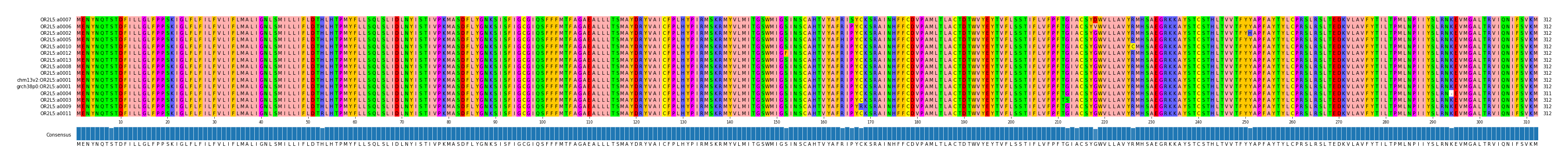 Multiple Alignments (by translate haplotype similarity)