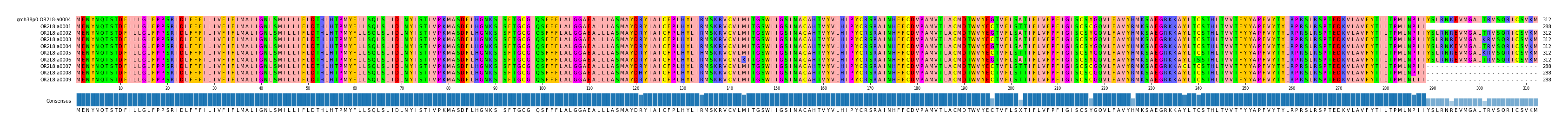 Multiple Alignments (by translate haplotype frequency)