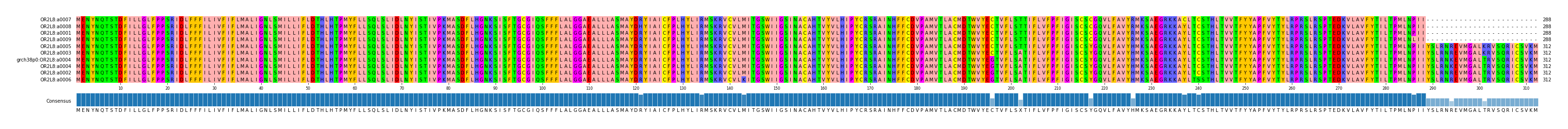 Multiple Alignments (by translate haplotype similarity)