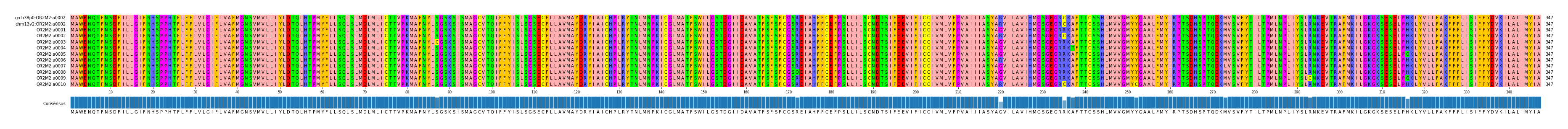 Multiple Alignments (by translate haplotype frequency)