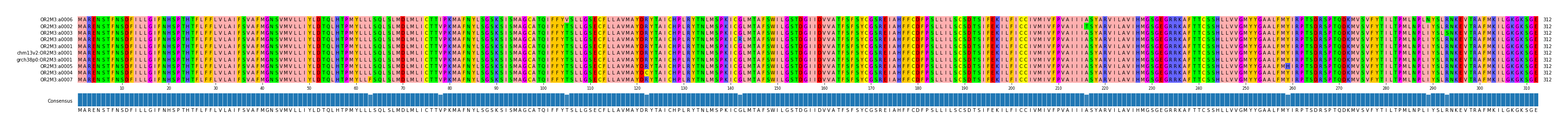 Multiple Alignments (by translate haplotype similarity)