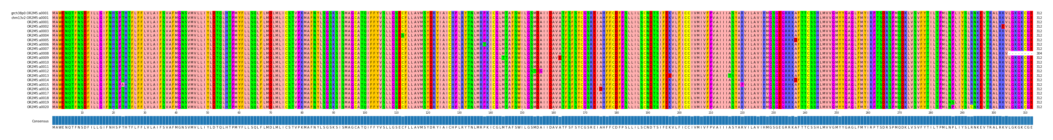 Multiple Alignments (by translate haplotype frequency)