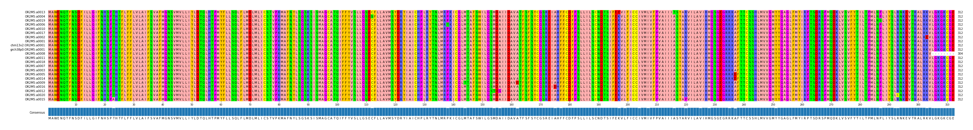 Multiple Alignments (by translate haplotype similarity)