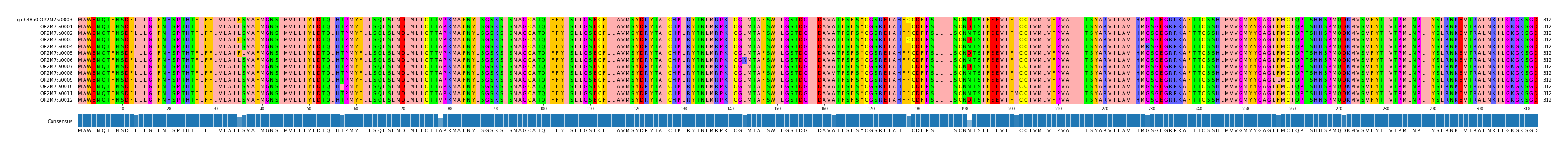 Multiple Alignments (by translate haplotype frequency)