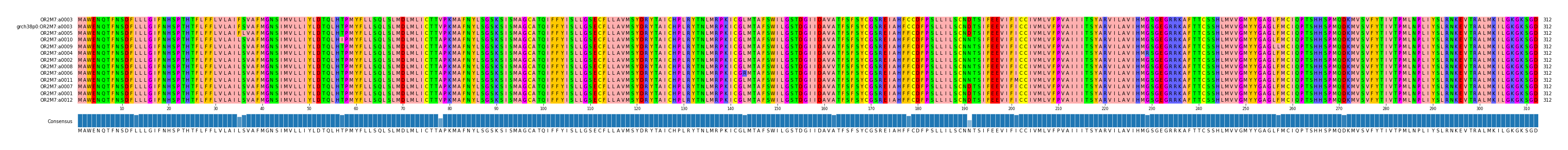 Multiple Alignments (by translate haplotype similarity)