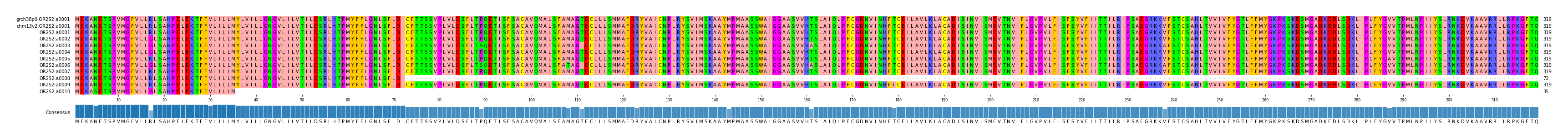 Multiple Alignments (by translate haplotype frequency)