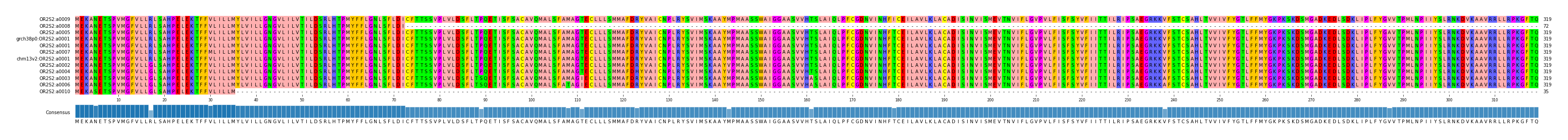 Multiple Alignments (by translate haplotype similarity)