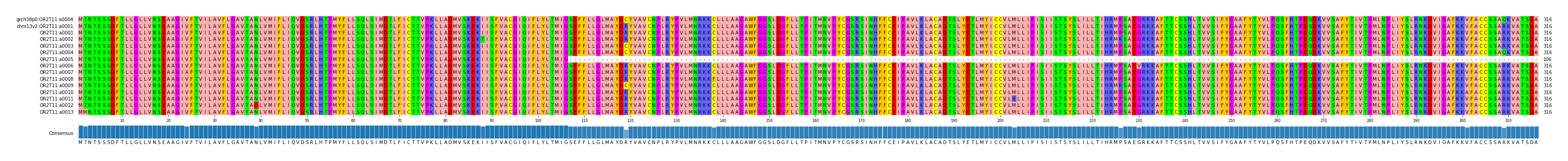 Multiple Alignments (by translate haplotype frequency)