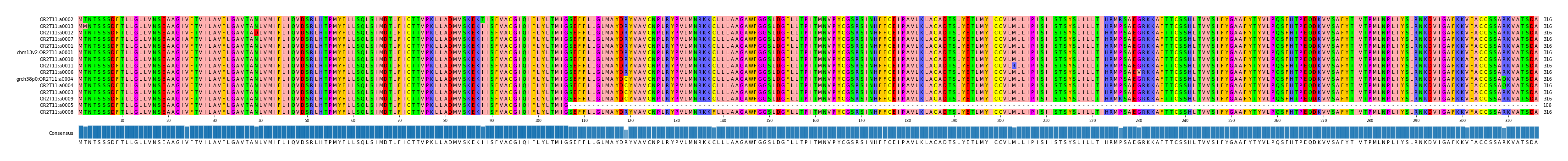 Multiple Alignments (by translate haplotype similarity)