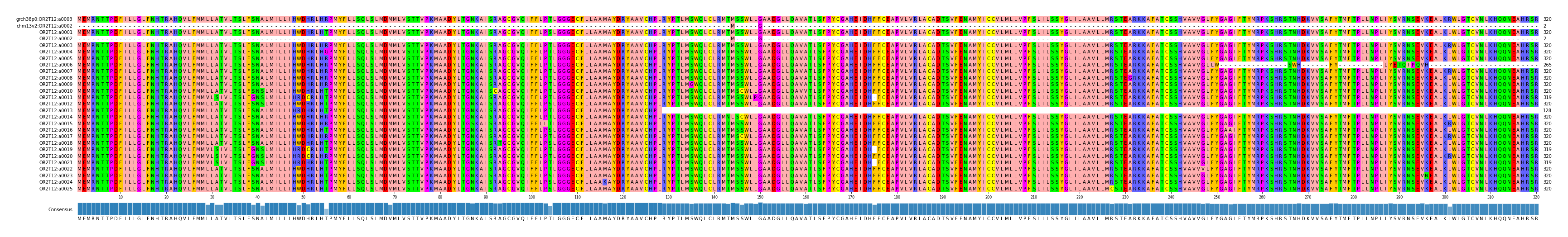 Multiple Alignments (by translate haplotype frequency)
