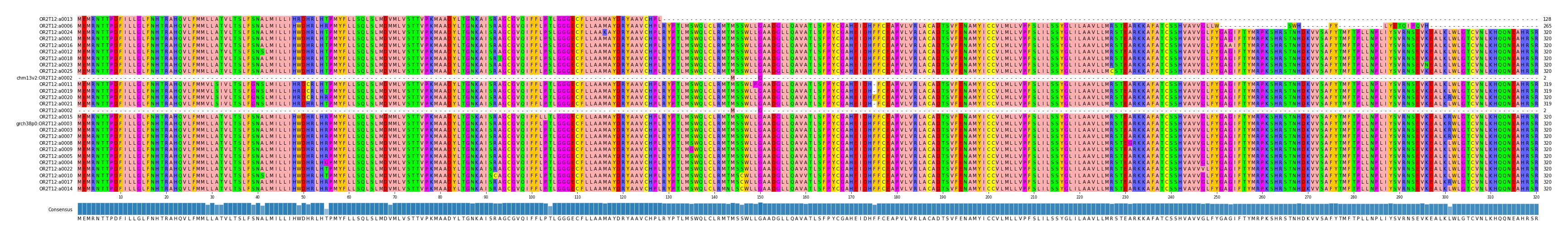 Multiple Alignments (by translate haplotype similarity)