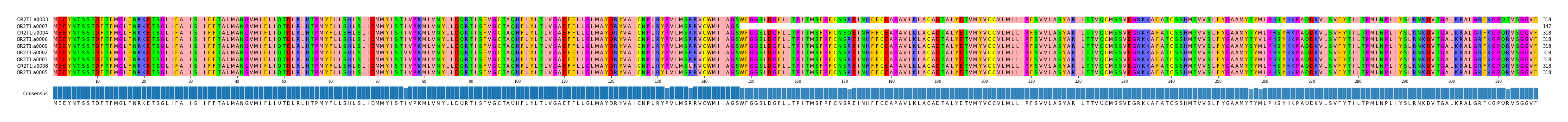 Multiple Alignments (by translate haplotype similarity)