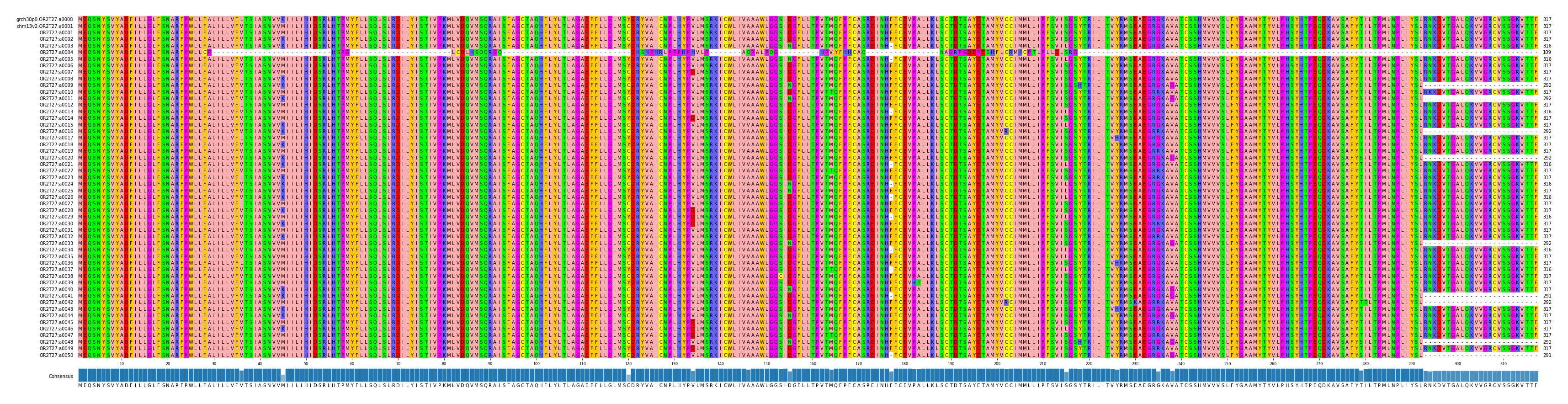 Multiple Alignments (by translate haplotype frequency)