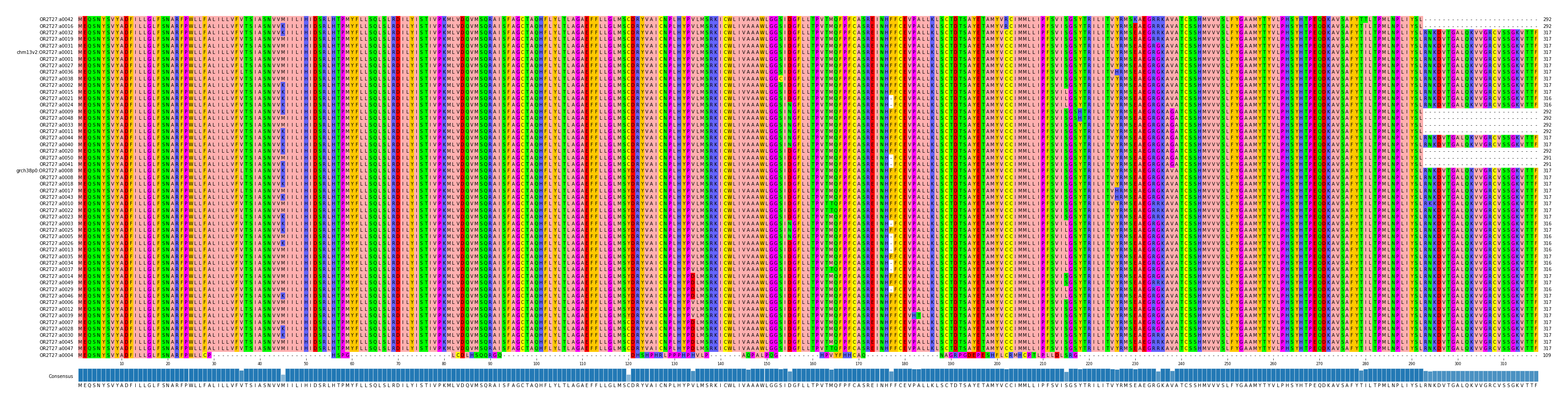Multiple Alignments (by translate haplotype similarity)