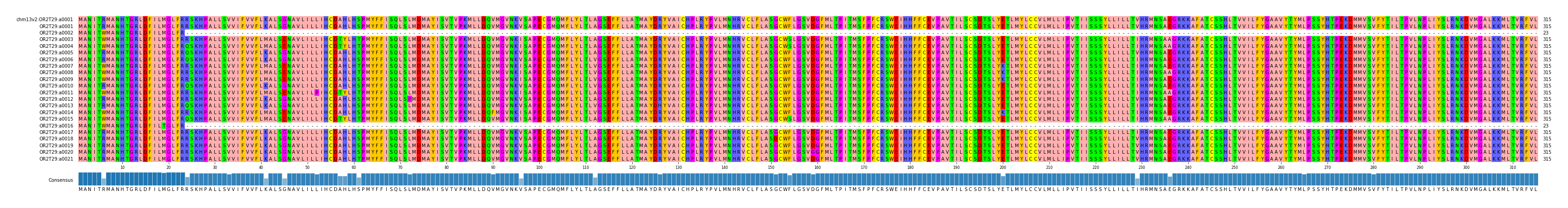 Multiple Alignments (by translate haplotype frequency)