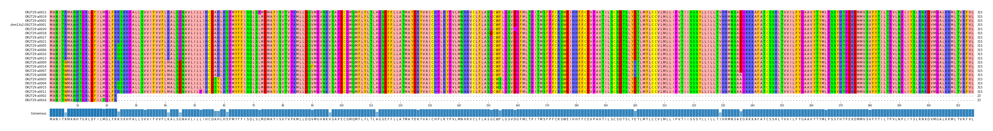 Multiple Alignments (by translate haplotype similarity)