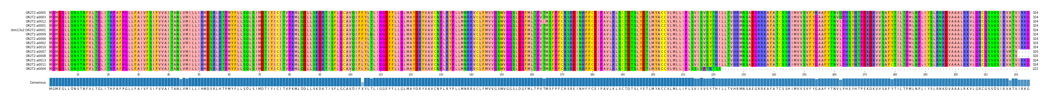 Multiple Alignments (by translate haplotype similarity)