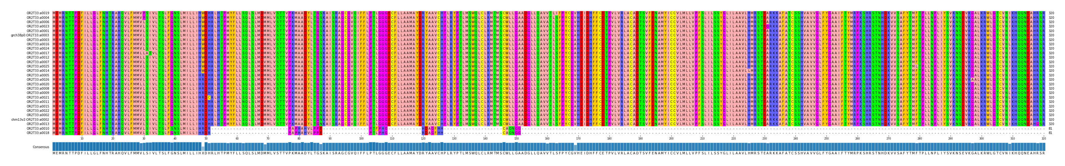 Multiple Alignments (by translate haplotype similarity)
