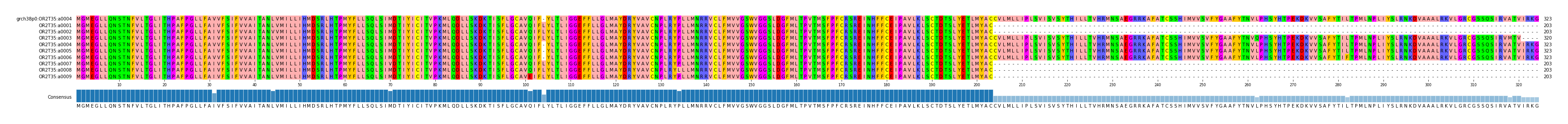 Multiple Alignments (by translate haplotype frequency)