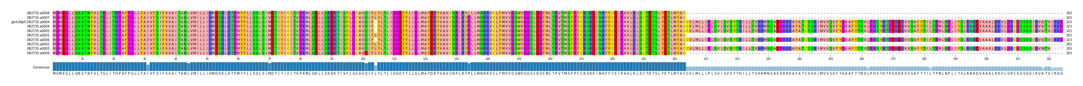 Multiple Alignments (by translate haplotype similarity)