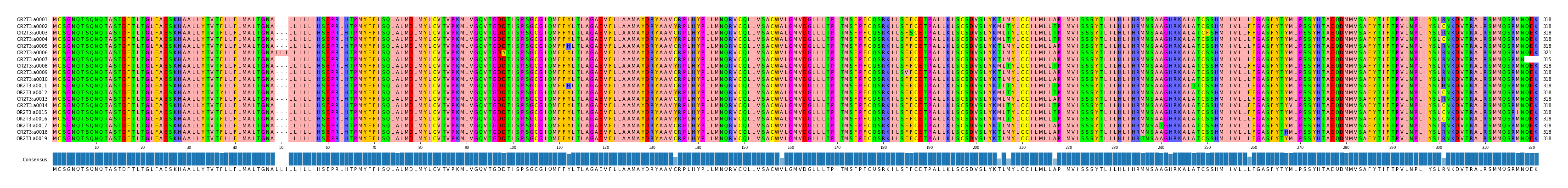 Multiple Alignments (by translate haplotype frequency)