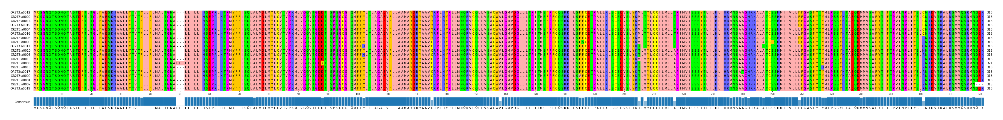 Multiple Alignments (by translate haplotype similarity)