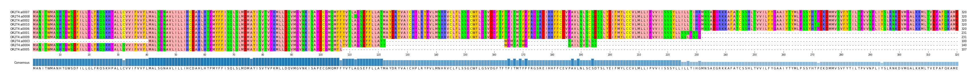 Multiple Alignments (by translate haplotype similarity)