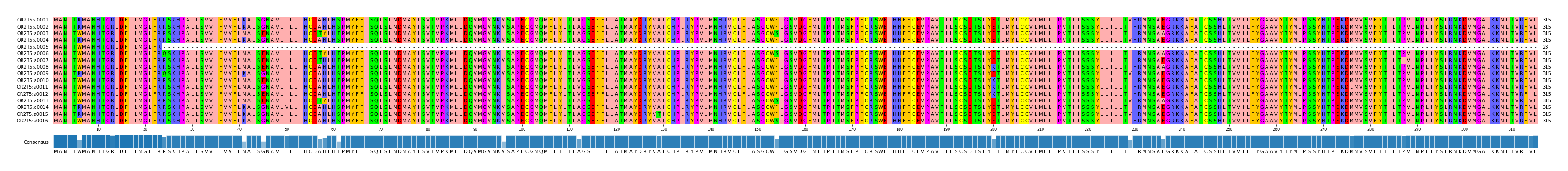 Multiple Alignments (by translate haplotype frequency)