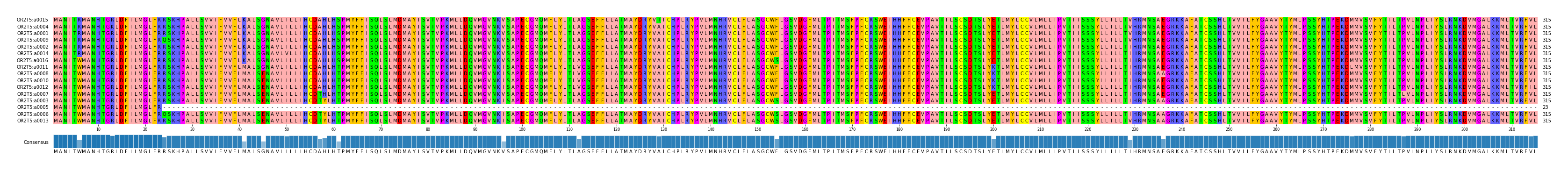 Multiple Alignments (by translate haplotype similarity)