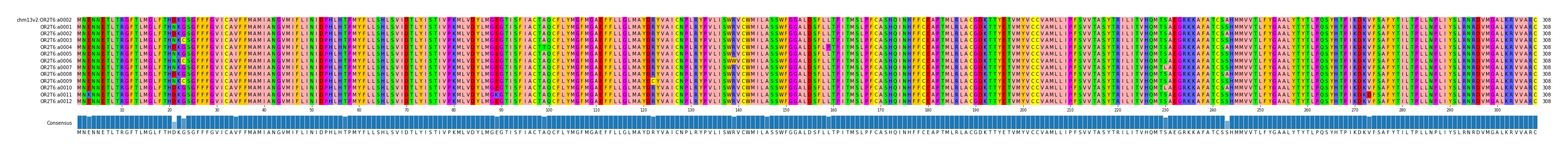 Multiple Alignments (by translate haplotype frequency)