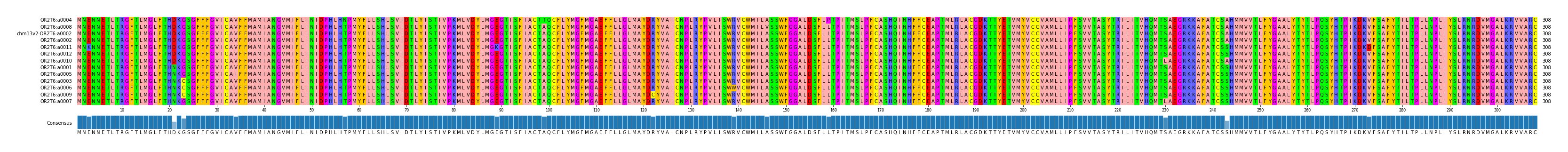 Multiple Alignments (by translate haplotype similarity)