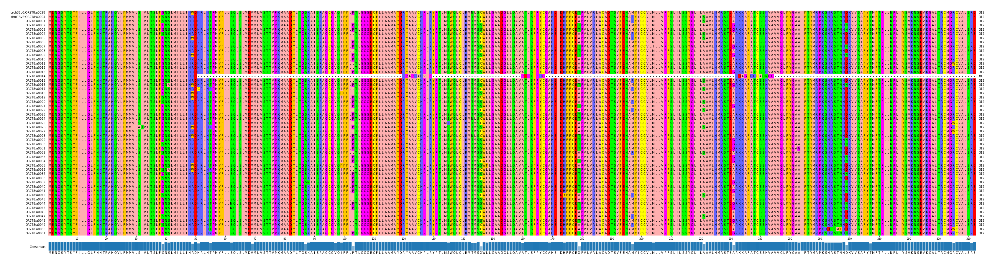 Multiple Alignments (by translate haplotype frequency)